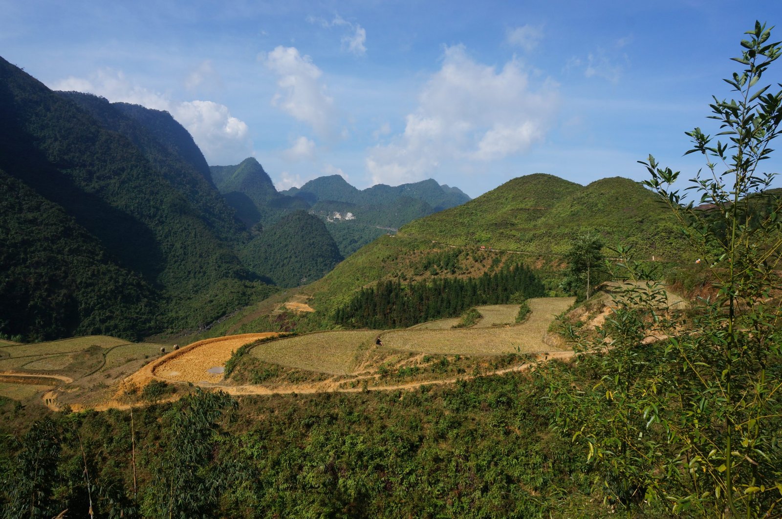 10-Day Ha Giang Loop & Hoang Su Phi Cycling Adventure